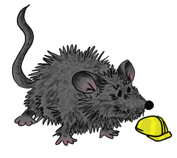 methusalem_struppig_Kopie