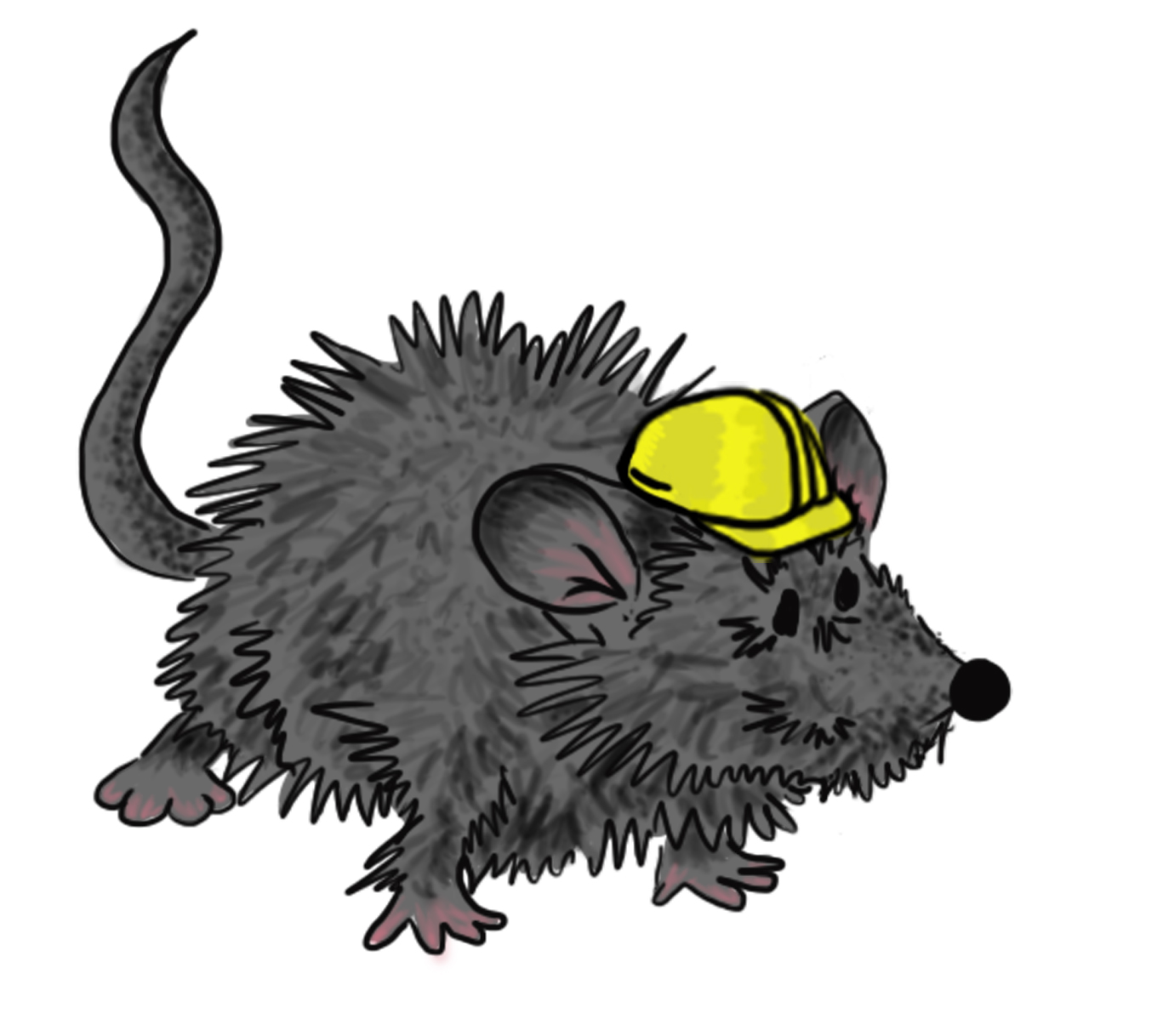 methusalem struppig mit Helm